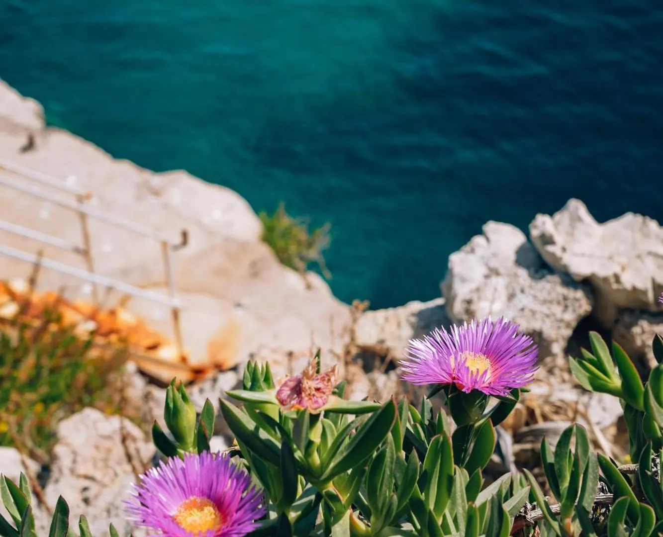 Sant'Elia Luxury Home&Spa Con Accesso Al Mare Santa Flavia 0*,  Italy